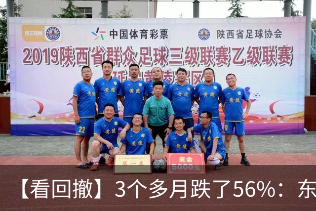 【看回撤】3个多月跌了56%：东方阿尔法基金百万持有人何去何从？